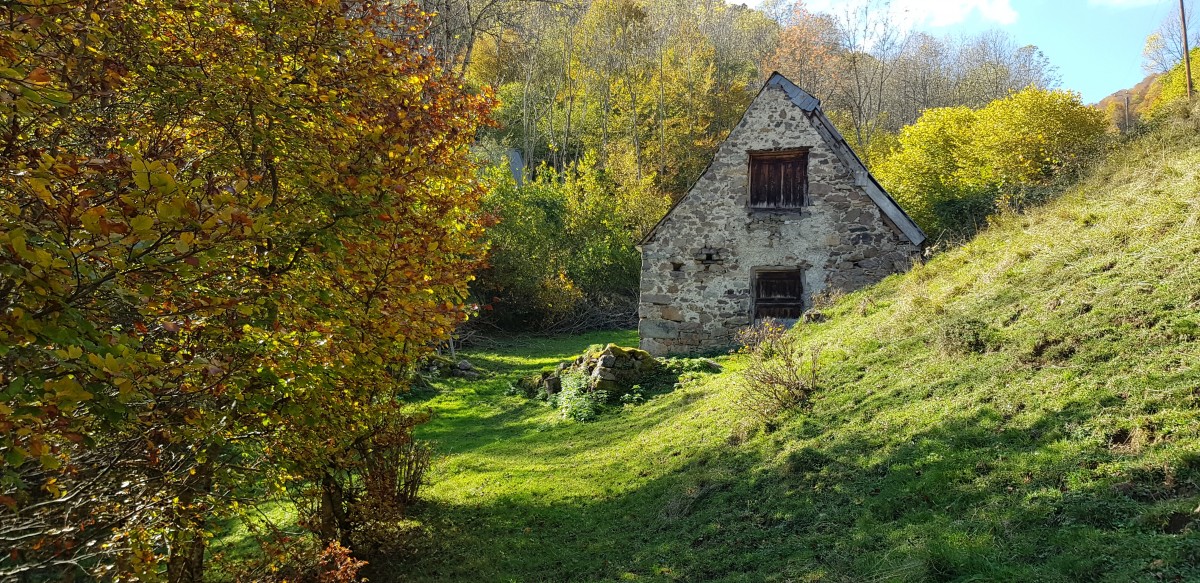Le Bon Coin Immobilier Vallee De Campan 65000